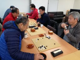 Auckland Open 2017